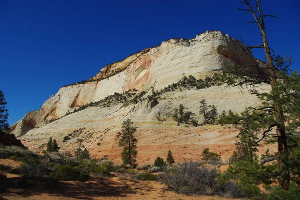 Parque Nacional Zion Utah — Foto de Stock