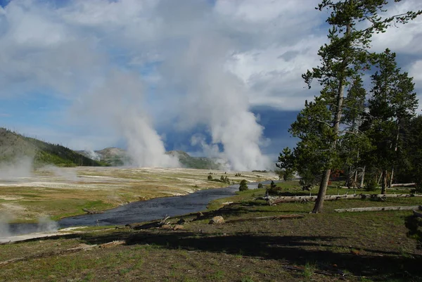 Forest Stream Geysirs Yellowstone National Park Wyoming — Stock Photo, Image