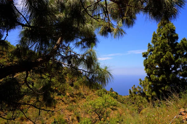 Vista Las Montañas Montaña Isla Creta — Foto de Stock