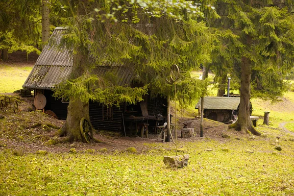 Bellissimo Scenario Della Foresta — Foto Stock