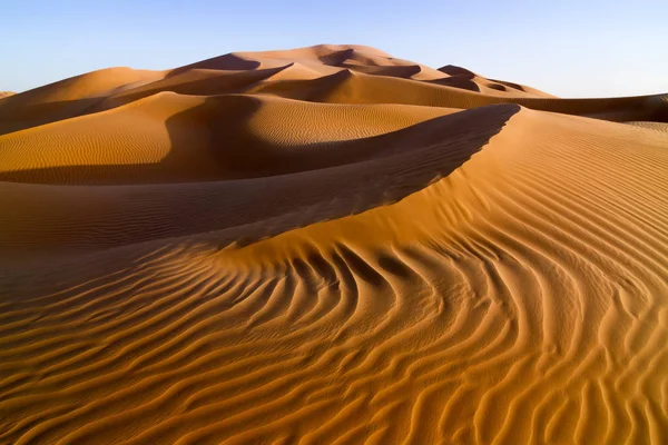 Vista Panoramica Delle Dune Focus Selettivo — Foto Stock