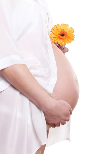 Zwangere Vrouw Met Bloem Een Witte Achtergrond Stockfoto