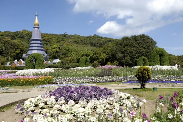 Parque Napamaytanidol Chedi Doi Inthanon Thailand — Foto de Stock