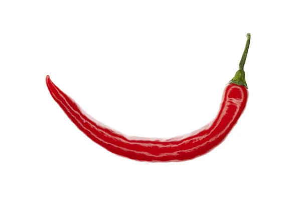 Rode Verse Chili Individueel Geïsoleerd — Stockfoto