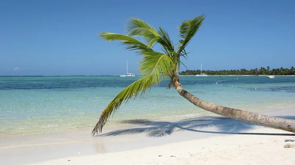 多米尼加共和国白沙滩天堂海滩 — 图库照片