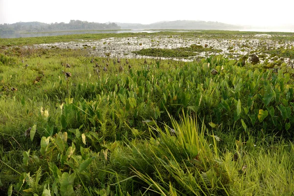 Lago Chiang Saen Trueno —  Fotos de Stock