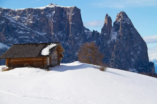 Seiser Alm Schlern Alpine Hut Foreground — Stock Photo, Image