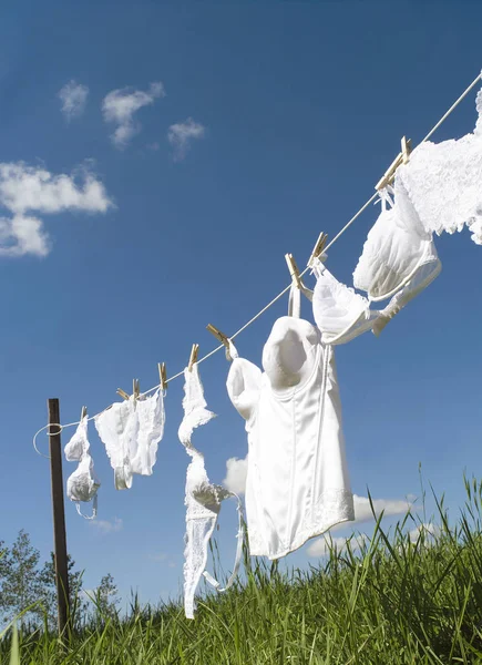 Ropa Interior Femenina Tendedero Hacia Cielo Azul — Foto de Stock