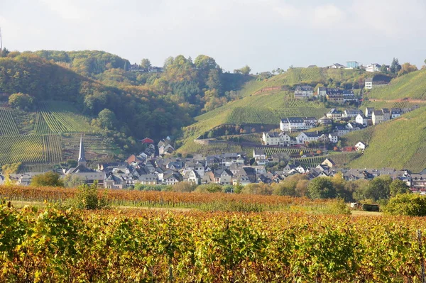 Scenic View Countryside Selective Focus — Stock Photo, Image