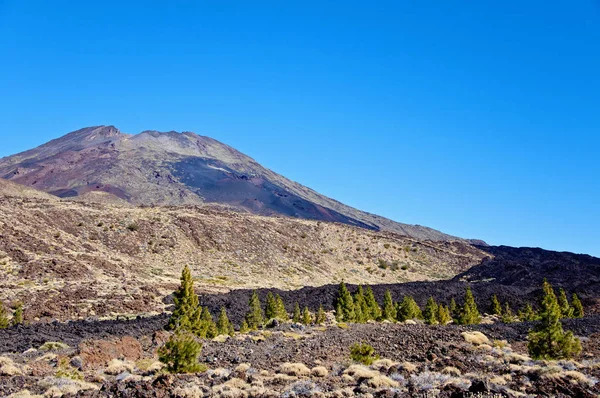 Tenerife Grootste Spaanse Canarische Eilanden Voor Kust Van West Afrika — Stockfoto