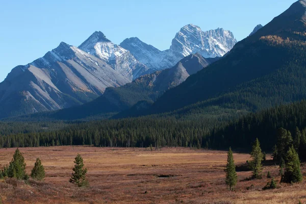 Góra Francuska Góra Smith Dorrien Canadian Rockies Alberta — Zdjęcie stockowe