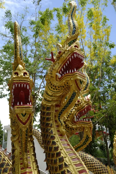 Nagas Frente Wat Khun Chi Phuket Town Phuket Thailand —  Fotos de Stock