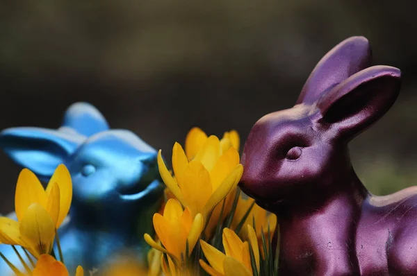 Férias Conceito Colorido Decorações Felizes Páscoa — Fotografia de Stock