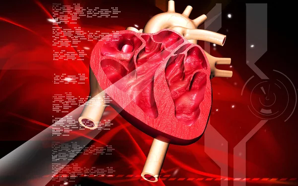 Digital Illustration Heart Colour Background — ストック写真