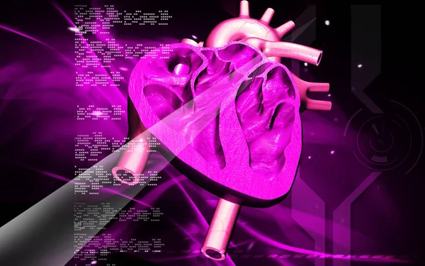 Цифровая Иллюстрация Сердца Цветном Фоне — стоковое фото