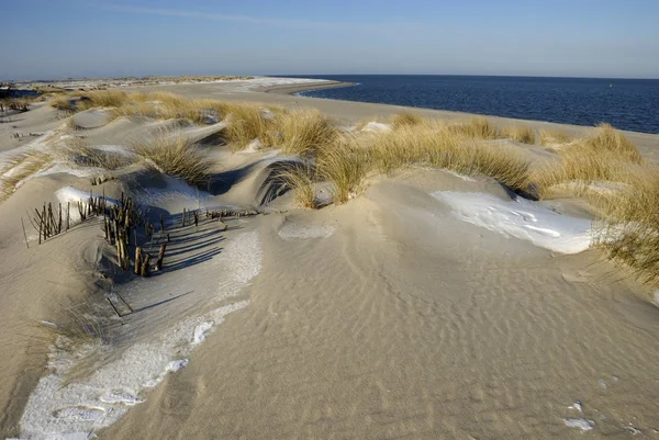 Dunas Areia Cotovelo Silva Schleswig Holstein Alemanha — Fotografia de Stock