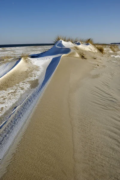 Dunas Areia Cotovelo Silva Schleswig Holstein Alemanha — Fotografia de Stock