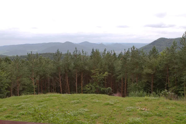 Schöne Aussicht Auf Die Natur — Stockfoto