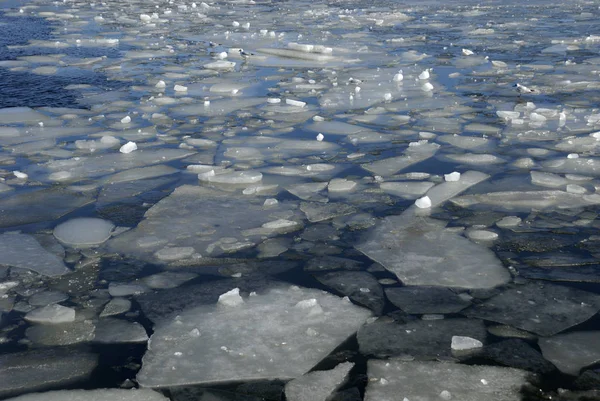 Ledové Kry Přístavu Flensburg Šlesvicko Holštýnsko Německo — Stock fotografie