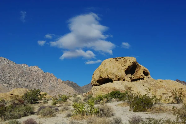 Yucca Rochers Montagnes Nuages Dans Ciel Bleu Près Col Des — Photo