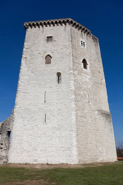 Castello Moncade Orthez Pirenei Atlantiques Aquitania Francia — Foto Stock