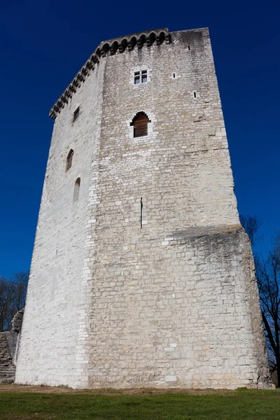 Castelo Moncade Orthez Pirinéus Atlantiques Aquitânia França — Fotografia de Stock