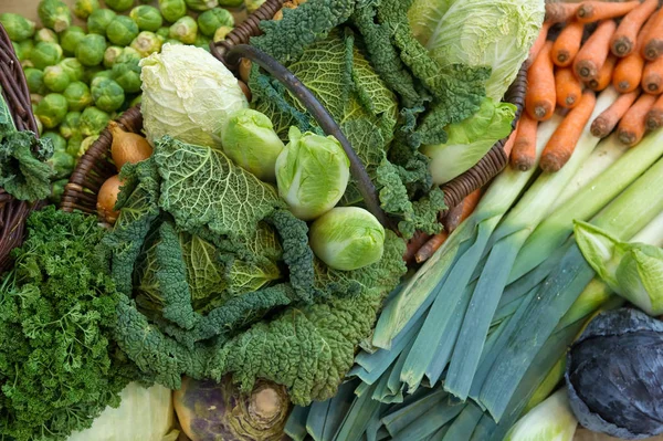 Makanan Organik Sayuran Segar — Stok Foto