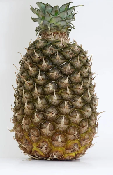 Świeże Ananasy Rośliny Owocowe — Zdjęcie stockowe