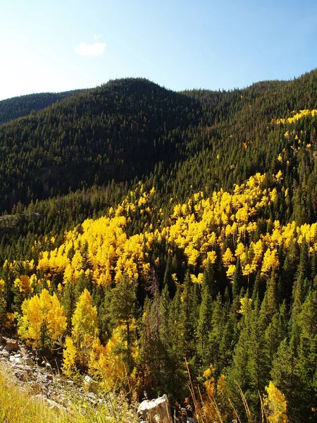 Pure Natuur Denver — Stockfoto