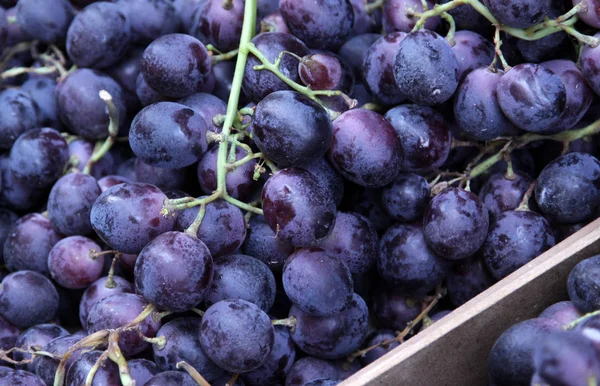 Крупный План Темно Фиолетового Винограда Рынке — стоковое фото