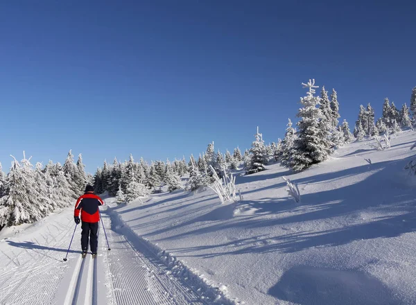 Esportes Inverno Esqui Esquiador — Fotografia de Stock