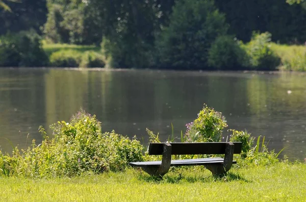 Banc Bois Dans Parc — Photo