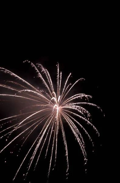 Explodindo Fogos Artifício Céu Noturno Festa — Fotografia de Stock