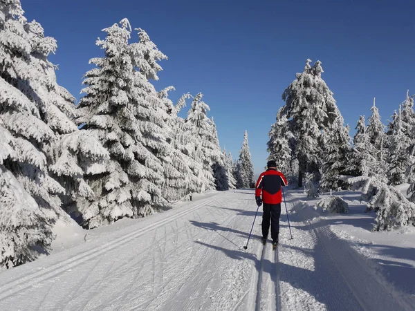 Caminhadas Inverno Nas Montanhas — Fotografia de Stock