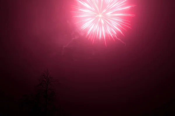 Eksplozja Fajerwerków Nocnym Niebie Świętowanie — Zdjęcie stockowe