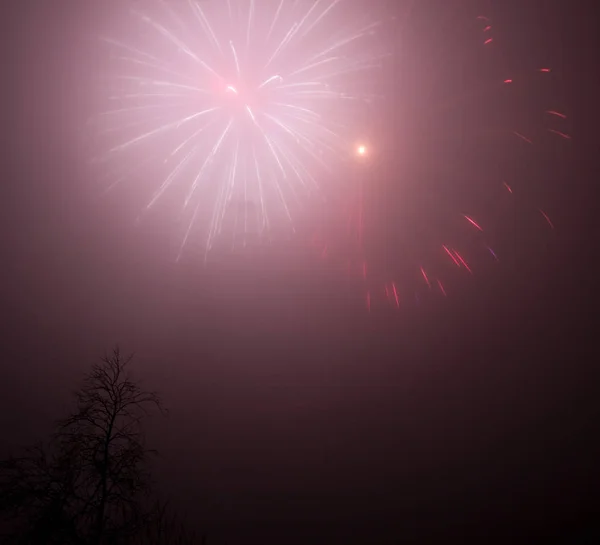 Eksplozja Fajerwerków Nocnym Niebie Święto — Zdjęcie stockowe