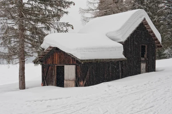 Wilder Kaiser Tyrol Alpen — Zdjęcie stockowe