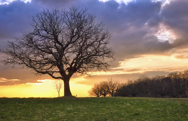 Sunset Brother Woods — Stock Photo, Image