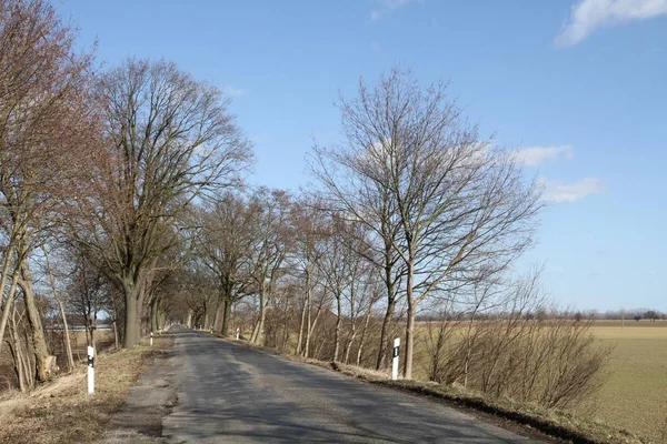 Schöne Aussicht Auf Die Natur — Stockfoto