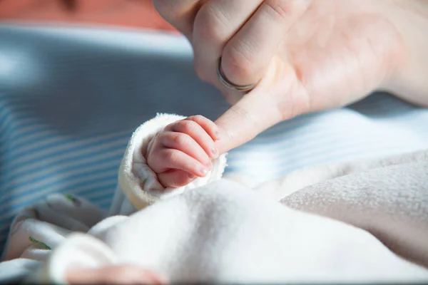 Baby Handen Van Een Pasgeborene — Stockfoto