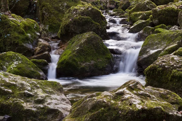 Wasserfall Der Natur Wald Landschaft — Stockfoto