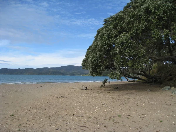 Нова Зеландія Суверенна Острівна Країна Південному Заході Тихого Океану — стокове фото