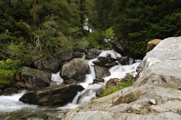 冷的运行在意大利山苔藓岩森林溪流水域 — 图库照片