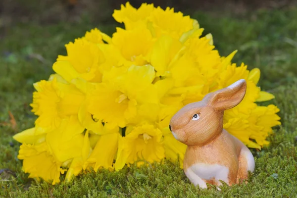 Coelho Páscoa Com Flores Amarelas — Fotografia de Stock