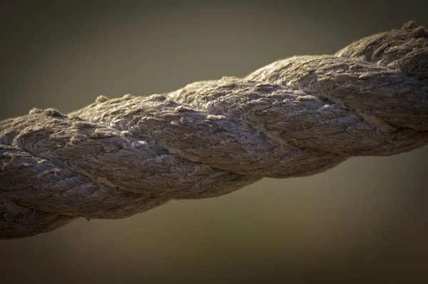 Мотузка Тлі Моря — стокове фото
