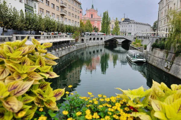Ciudad Liubliana Capital Eslovenia Con Puente Viejo Flor Río — Foto de Stock