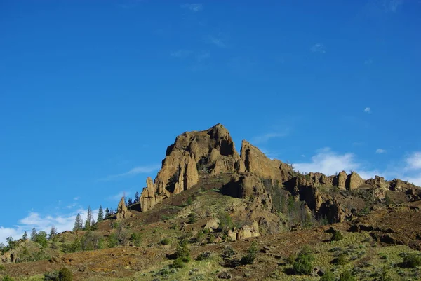 Felsen Bäume Und Büsche Der Nähe Des Yellowstone Nationalparks — Stockfoto