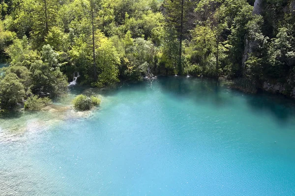 Milli Parkı Plitvicka Gölü Hırvatistan — Stok fotoğraf