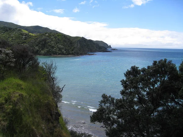 Zealand Semester 2010 — Stockfoto