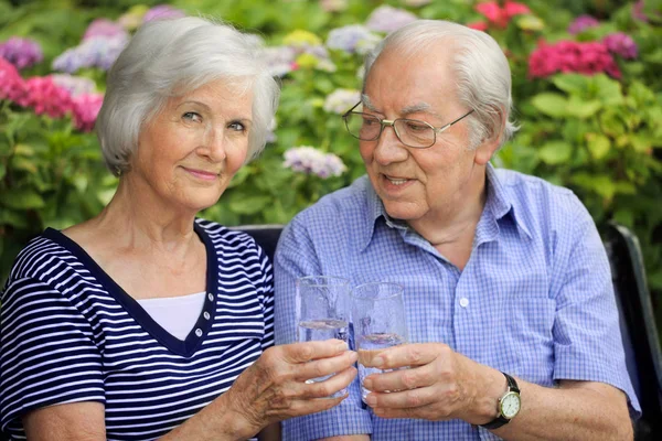 Senior Couple Park — Stock Photo, Image